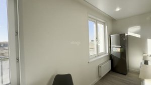 10060312 ar v