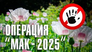 Операции «Мак-2025»