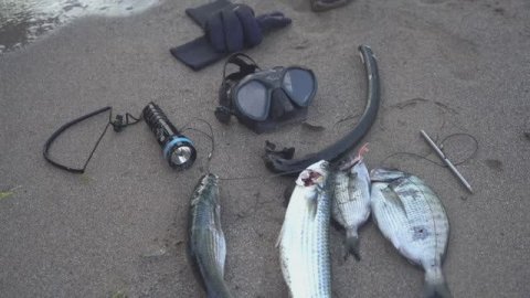 ХАКАН лето. подводная охота. рыба на решетке.