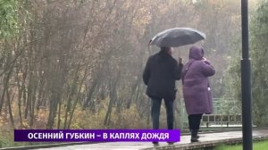 На выходных Губкин «погрузился» в дождь