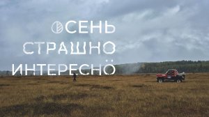 Вепсский лес 2025