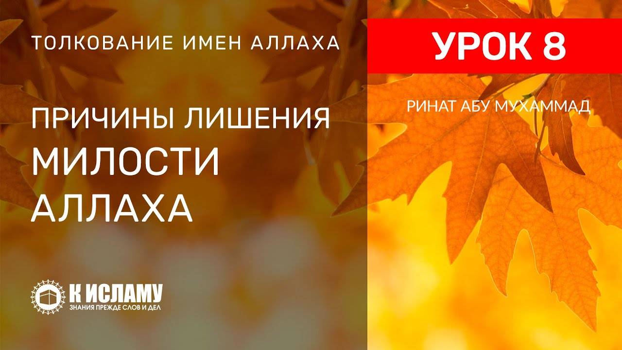 8) Причины лишения милости Аллаха | Ринат Абу Мухаммад смотреть онлайн