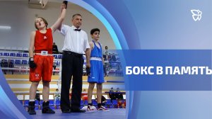 В Нижнем Тагиле провели Чемпионат и первенство по боксу памяти Анатолия Соловьёва