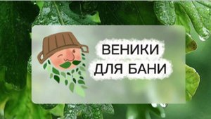 Веники и ароматы: путеводитель по банному здоровью|Веники для бани🍃