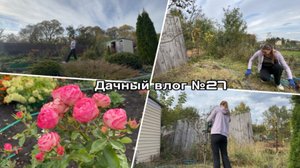 Дачный влог №27 🍓 Расчищаю участок|Завершение дачного сезона