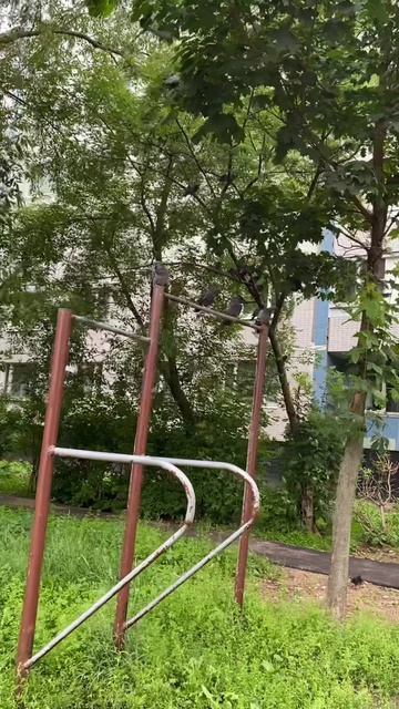 Самые опасные турникмены на районе