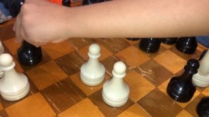 Собачки сквишь, играют в шахматы.