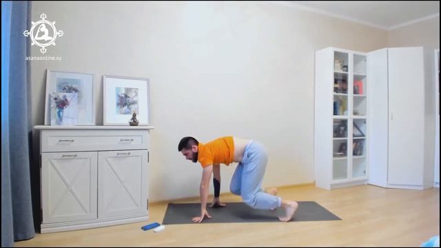 Как освоить стойку на предплечьях