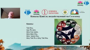 Селезёнка с точки зрения древних трактатов китайской медицины. Функции нарушения лечение .