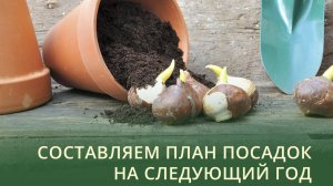 Как составить план посадок на следующий 2026 год: схемы, севооборот.