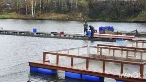 13.10.25. Ловля форели в VIP зоне РК Савельево