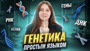 Как работают гены | ДНК, РНК и белки простым языком | Биология ЕГЭ | Умскул