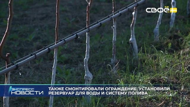 Экспресс новости на Своём от 13 октября 2025г. 16:30