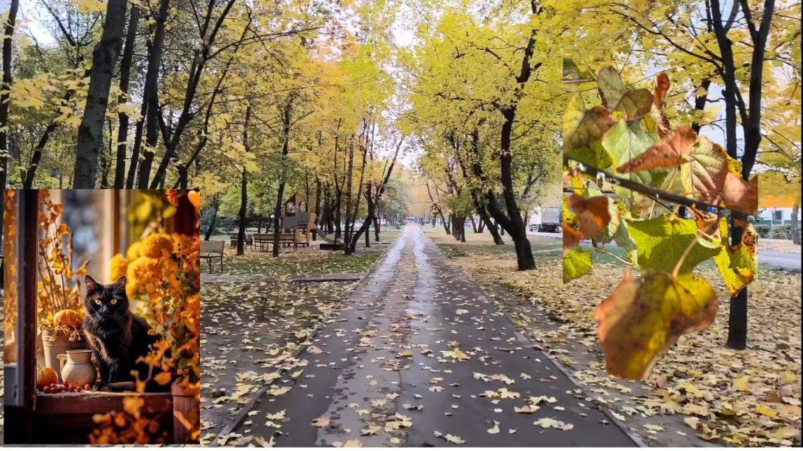 Потрясающе красивая осенняя природа октября. Золотая осень.  Осенние зарисовкиl #природа #осень