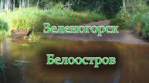 Зеленогорск - Белоостров