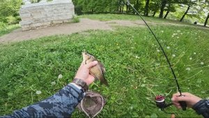 карась и ротан на вату✅