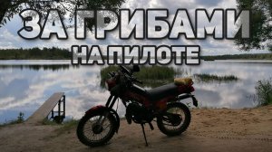 За грибами на Пилоте