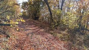 Осеннее волшебство