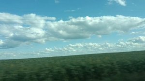 Родные места. Пензенской области. . Шикарно просто. *КОРОЛЕВА*Песня 🎤о любви. Только о счастье ☺✨.