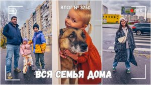 Когда вся семья дома | Едим плов | Сдали самокат в ремонт - ВЛОГ №3750 - 12.10.25