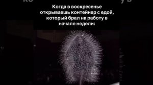 Когда в воскресенье