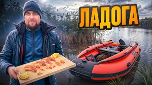 Секреты ловли окуня в Ладоге: осень, холодная вода и точные приманки, помогли нам приготовить обед.