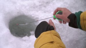 "НАРОДНЫЙ ПРОЕКТ АЛТАЙ"