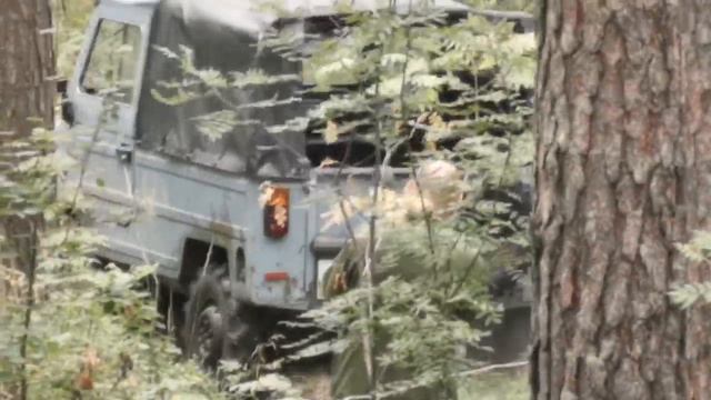 Лесная поездка
