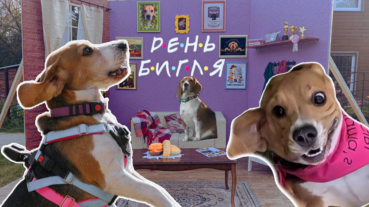 День Бигля 2025