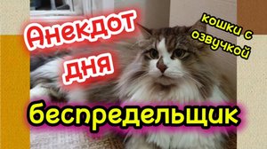 Анекдот дня.