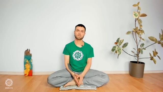 Как выбрать направление хатха йоги