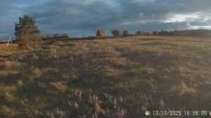 Осенняя лесная покатушка