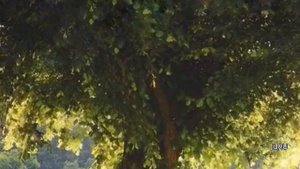 Истории из жизни |От конфликта к гармонии|Аудио рассказы |Аудиокниги слушать онлайн