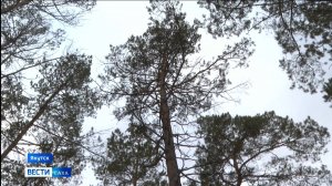 11:30 ВЕСТИ САХА 13/10/25 НА РУССКОМ ЯЗЫКЕ