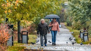 Похолодание и дожди обрушились на Москву и Подмосковье