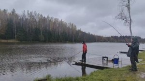 сход форели