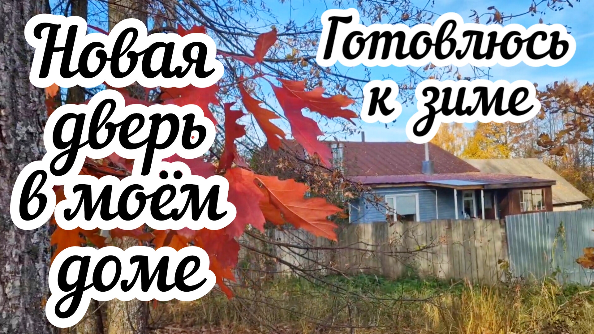 Готовлюсь к зиме в деревне ❄️  Заготовка дров и хвороста🌲 Установила тёплую дверь 🏠