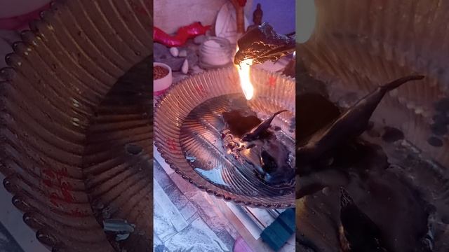 СЛОШНОЙ НЕГАТИВ 🔮