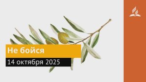 14 октября 2025. Не бойся. Под сенью благодати.