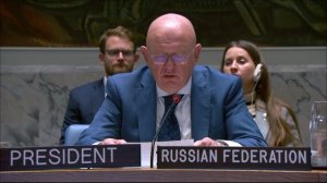 Statement by Vassily Nebenzia at UNSC Briefing on Africa’s Great Lakes region