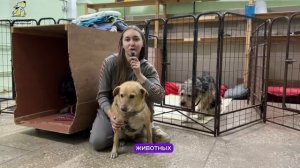 Благодарим друзей Фонда, подписанных на регулярные платежи!