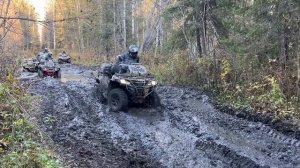 #shweps #швепс #шарья #moto #мото #квадроциклы #atv #arcticcat