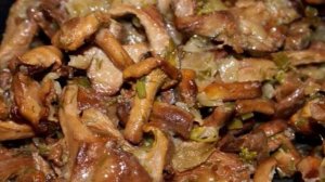 Пирог с грибами и картошкой