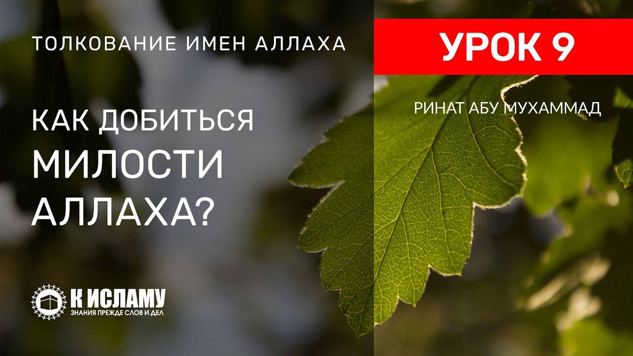 9) Как добиться Милости Всевышнего Аллаха? | Ринат Абу Мухаммад смотреть онлайн