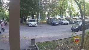 Полиция задержала москвичку за содействие аферистам в обмане 16-летней девушки на 12 млн рублей