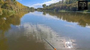 На Чулым за зубастой!