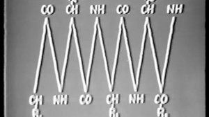 Protoplasma 2