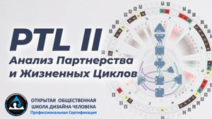 PTL II: Анализ Партнёрства и Жизненных Циклов.