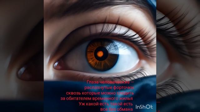 обо всём