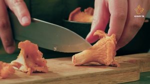 Грибы | Питание по сунне